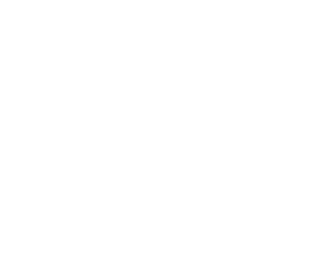 Alpha E-learning